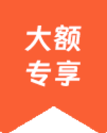大额专享